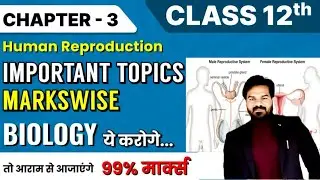 Important Topics - chapter : 3 human reproduction | Class 12 CBSE 2026 | HUMAN REPRODUCTION TOPICS