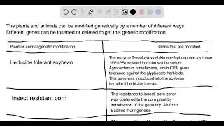 Plants and animals are genetically modified for a number of different reasons. List different benef&hellip;
