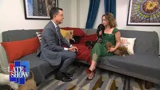 Stephen Meets The Mother Of Puppies