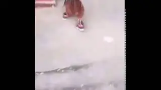 El v&iacute;deo original del gallo con tennis