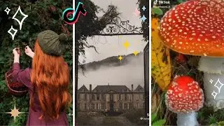 Goblincore & Dark Cottagecore Part 3 🍄 TikTok Compilation 🐸