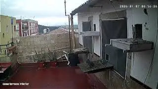 El bala 