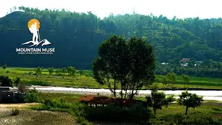 Nature's Serenity: A Journey to Relaxation