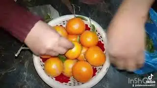 Orange ke faide (aneeqa's family)