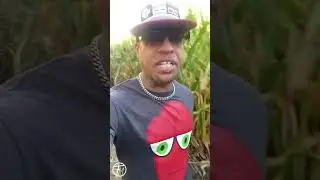 Corn Maze in Thornton, Colorado