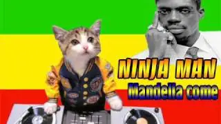 Ninja Man - Mandella Come