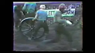 Numbers Run 15