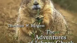The Adventures of Johnny Chuck by Thornton W. BURGESS read by John Lieder | Full Audio Book
