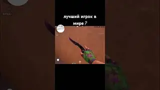 За голдой в тгк zavet1337 #стандофф2 #zavet #legend#strong#player