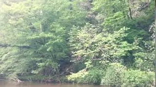 Whitehall Hills of Laurel