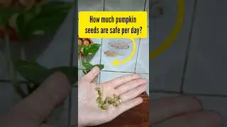 Удивительная правда: раскрыта суточная норма потребления семян тыквы #shortsfeed