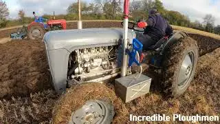 1957 Ferguson FE35 Gold Belly 2.3 Litre 4-Cyl Diesel (34 HP) with Ransomes Plough