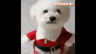 s&uuml;&szlig;er Hund singt 