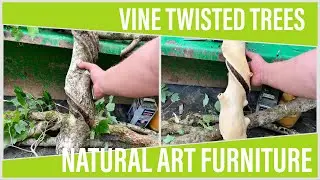 Vine Twisted Trees Into Natural Furniture Art