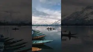 Summer Capital Srinagar ll #sringardarshan ll #sunset rinagar ll #shikararide ll #urbandecay 🌷