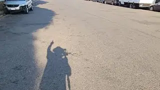 Live On The Streets with Downey Transparent Eye