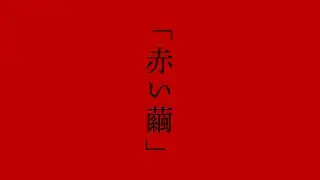 『赤い繭』安部公房オマージュ／文学少女アイドル【メンバー募集開始】#文学 #小説 #アイドル