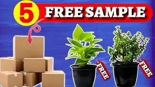 Lybrate free sample | Free plant sample | Free sample products today | Free coffee sample