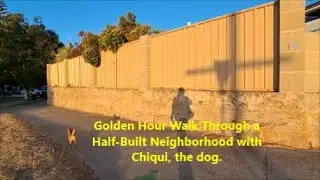 Golden Hour Walk Through a Half-Built Neighborhood with Chiqui, the dog.