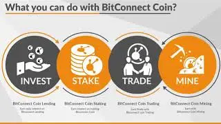 BitConnect Coin Presentation Video