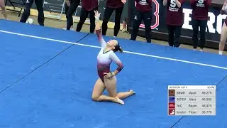 2026 SCSU, RIC,  Springfield @ Brown - NCAA Gymnastics