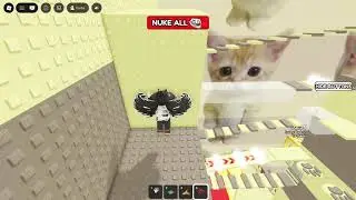 my best record (with speed coil)