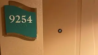Adventure of the Seas Junior Suite 9254