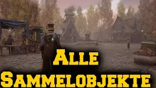 Hogwarts Legacy - Alle Sammelobjekte Aranshire / UNCUT!