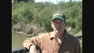 Santa Clara River Sucker Fish Report