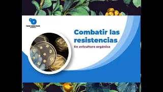 ¿Qué es la resistencia antimicrobiana?