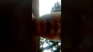 Espionagem rapida