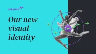 Our new visual identity | Netquest