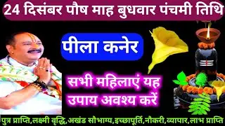 🕉 24 दिसंबर बुधवार पौष माह पंचमी तिथि पीला कनेर, बेलपत्र, उपाय अवश्य करें 🙏❤#shiv #upay