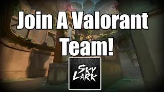 How to Join Skylark VALORANT / Join a Valorant Team