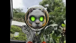 ヤノベケンジ：太郎と猫と太陽と　Kenji Yanobe :Taro,Cat,and Sun