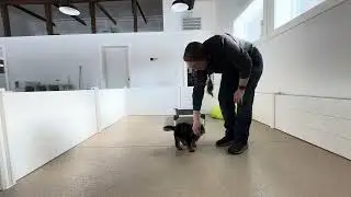 Stack Training Session 01/21