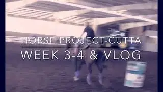 Horse Project Week 3/4 & Vlog