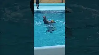 Дельфінарій Ockar🫶