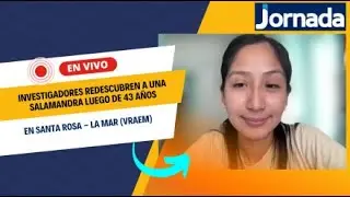 Investigadores redescubren a una salamandra luego de 43 a&ntilde;os