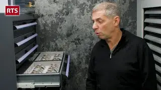 Stolen Watches