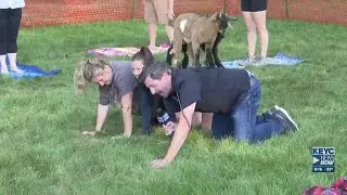 Chief Meteorologist Shawn Cable reports forecast with goat on back
