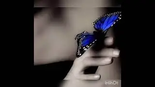 💞💞Unique WhatsApp❤️ Dp Images/ Unique And Stylish dp pictures/ dp pictures for WhatsApp