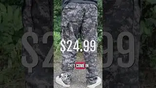 A Cheap and Durable Pair of Cargo Pants
