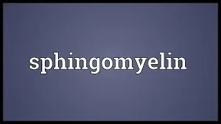 Sphingomyelin Meaning