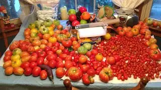 2021 Garden Harvest Slideshow