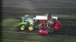 Fall Tillage With Some Sugar Beet Harvest!