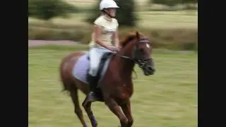 Galloping Fun and Bucking Bronto's :)