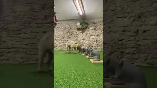 Line-Up Training mit Mala