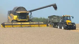 New Holland wheat harvest نيوهولاند حصاد القمح 4k