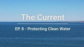 The Current EP. 8 - Protecting Clean Water